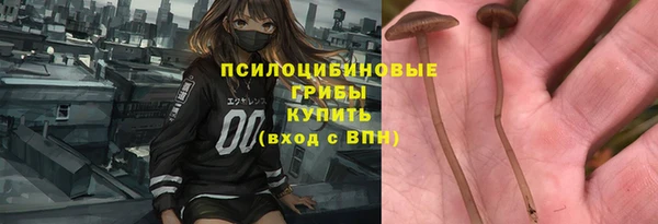 PSILOCYBIN Баксан