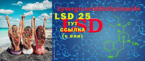 PSILOCYBIN Баксан