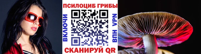 Галлюциногенные грибы прущие грибы  omg tor  Новодвинск 