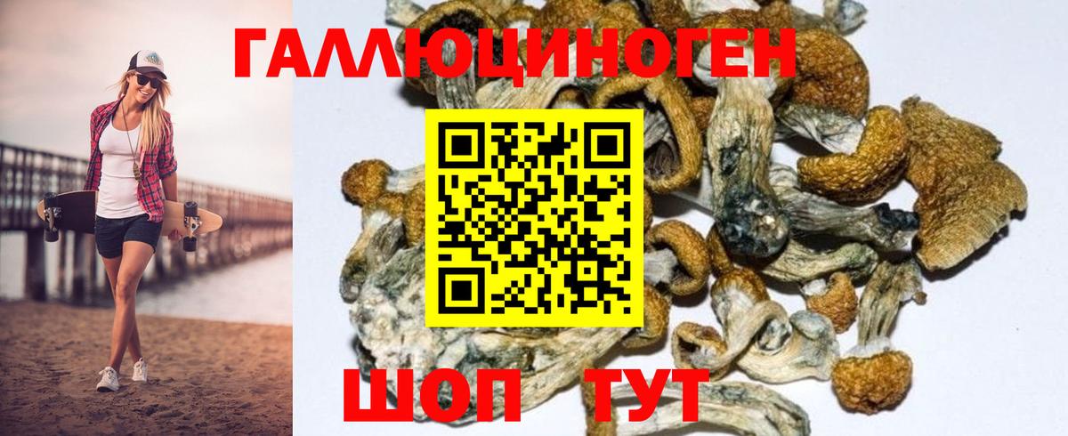 Псилоцибиновые грибы Psilocybe  Галлюциногенные грибы MAGIC MUSHROOMS  Вход с VPN  Новодвинск 