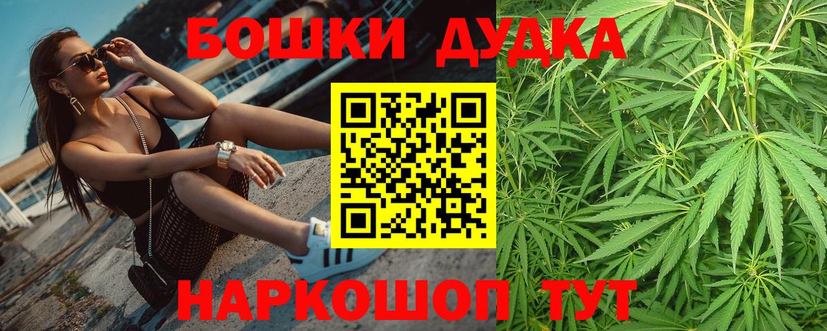 Бошки Шишки марихуана Новодвинск